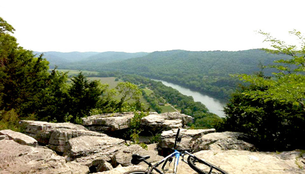 View of the White River from the Syllamo Mountain Bike Trail White River Bluff Loop