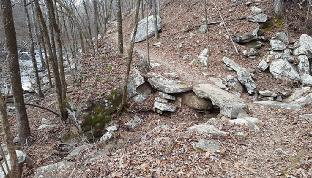 Petit Jean State Park Canyon Trail