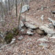 Petit Jean State Park Canyon Trail
