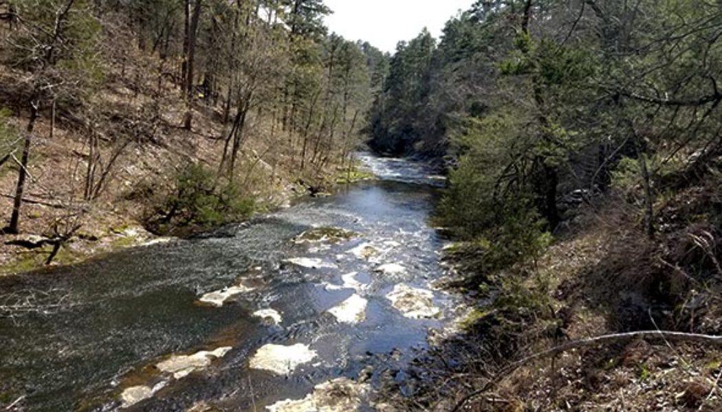 Cedar Creek Trail at Petit Jean State Park