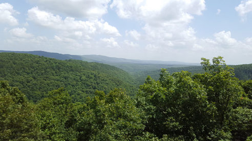 Ziplining in Arkansas