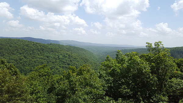 Ziplining in Arkansas