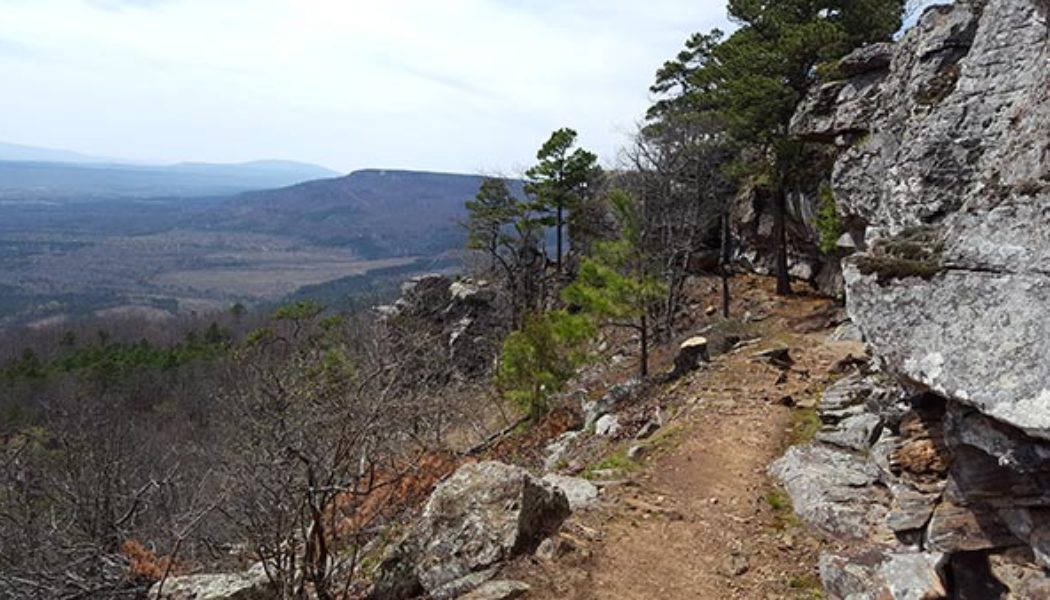 Mt Nebo Rim Trail at Mt Nebo State Park, AR