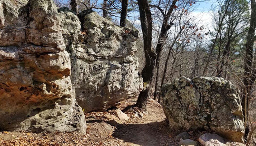 mountain bike trails at Mt. Nebo State Park, AR