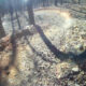 Mountain Biking at Pinnacle Mountain State Park