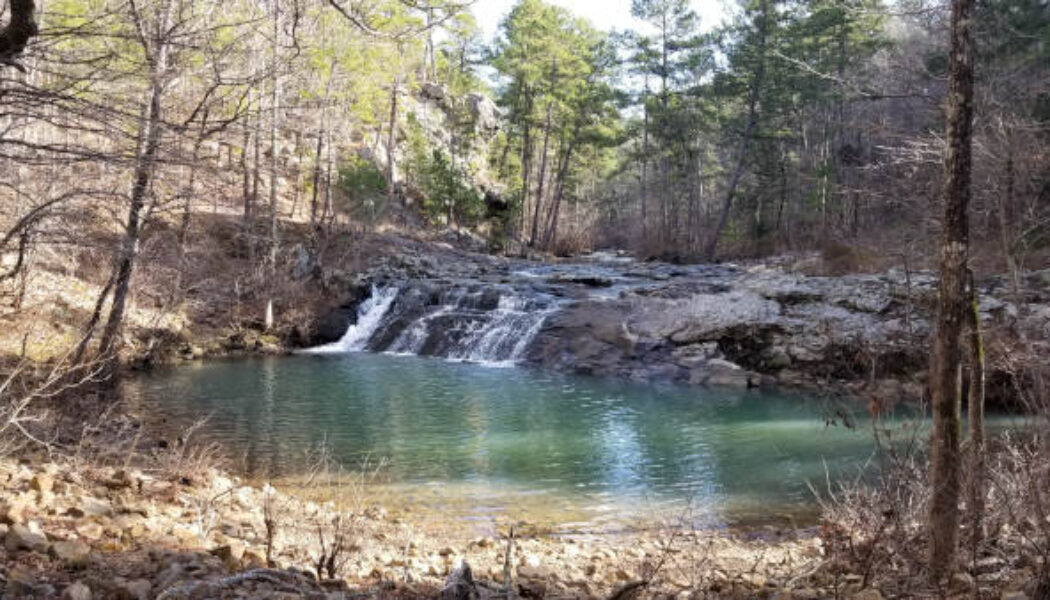 Forked Mountain Falls in the Flatside Wilderness