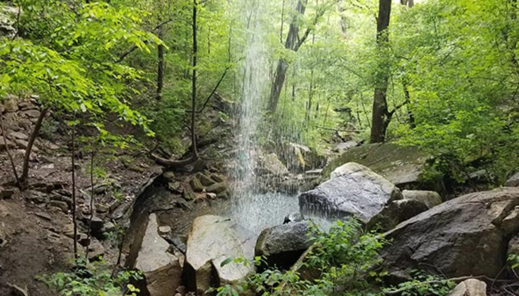 Hike to Steele Falls near Mountain View, AR