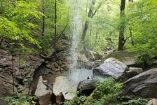 Hike to Steele Falls near Mountain View, AR