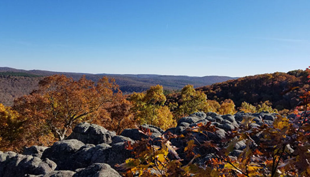 Hike to Buzzards Roost in the Ozark National Forest