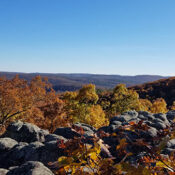 Hike to Buzzards Roost in the Ozark National Forest