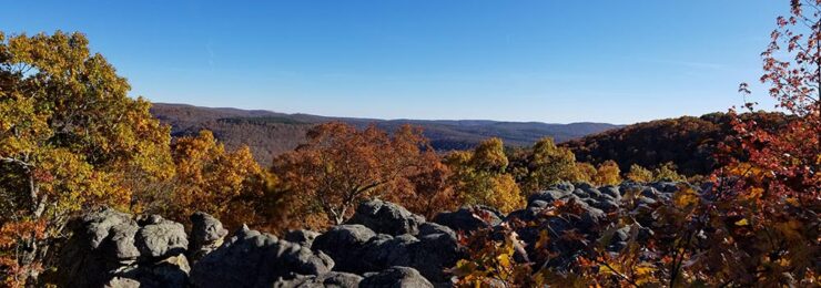 Hike to Buzzards Roost in the Ozark National Forest