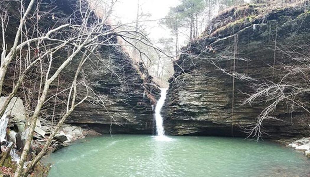 Creekside hike to Brushy Grotto Falls