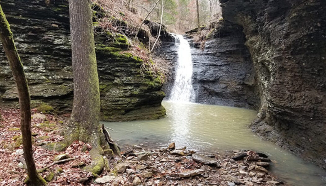 Creekside hike to Green Grotto Falls