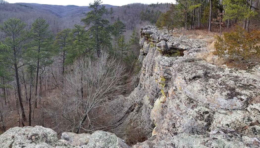 Hiking the Kings Bluff Loop