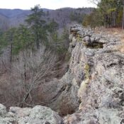 Hiking the Kings Bluff Loop