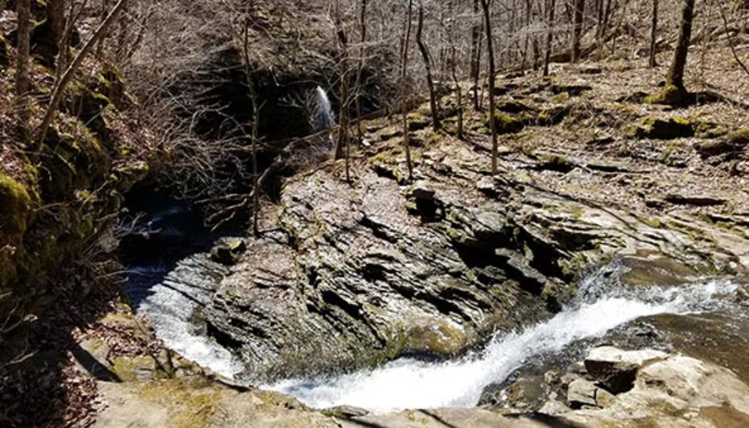 Bear Creek Waterfall Hike