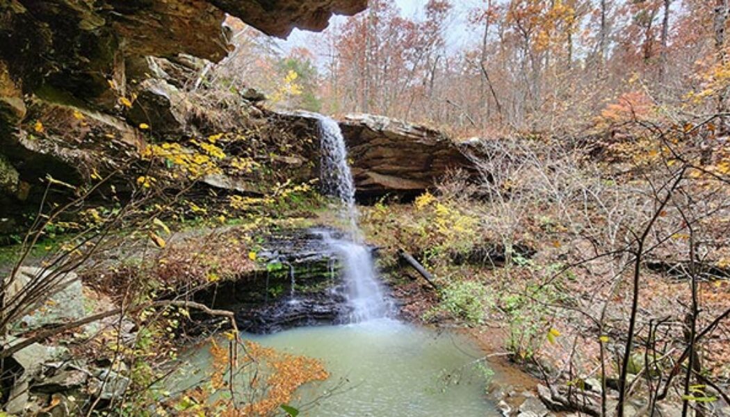 Hike to Fern Falls