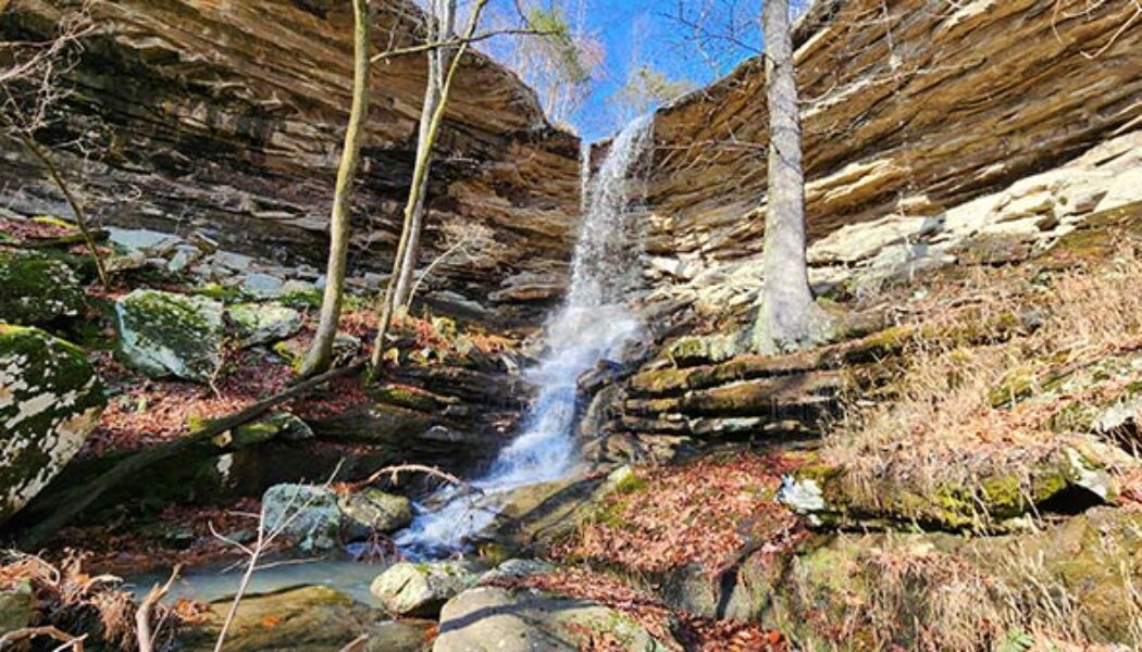 Easy Bushwhack Hike to Lonesome Hollow Falls