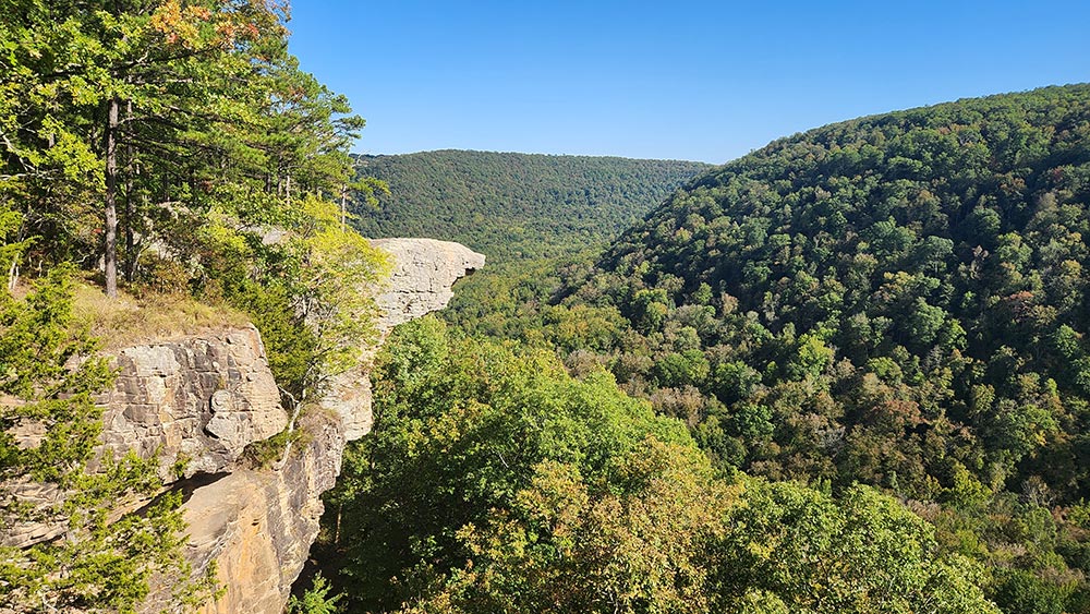 Hike to Whitaker Point(Hawksbill Crag) - AR Own Backyard