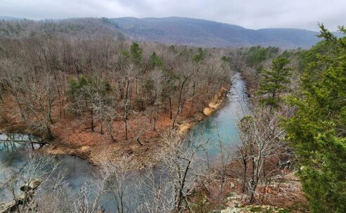 Exploring Bluffton Preserve in the Arkansas Ozarks