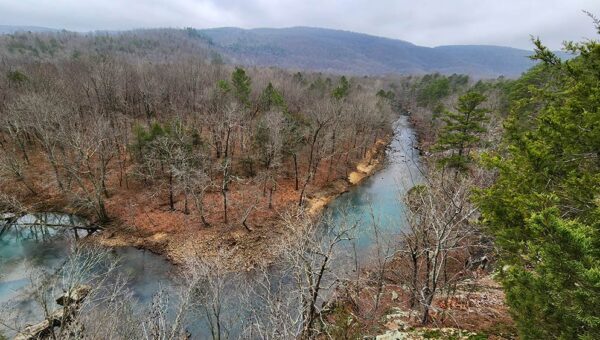 Exploring Bluffton Preserve in the Arkansas Ozarks