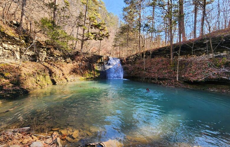 Hike to Stave Mill Falls and Little Oak Falls