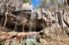 Hike to Grapevine Shelter and Blue Hole Cascades