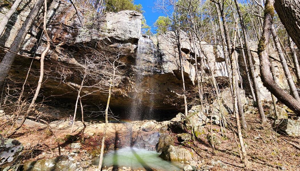 Hike to Grapevine Shelter and Blue Hole Cascades