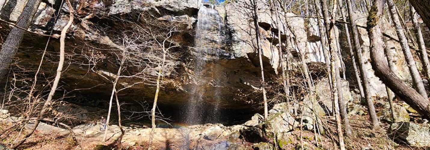 Hike to Grapevine Shelter and Blue Hole Cascades
