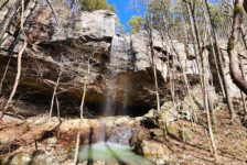 Hike to Grapevine Shelter and Blue Hole Cascades
