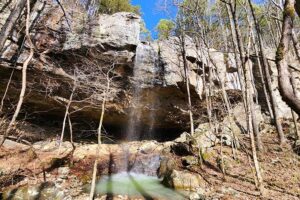 Hike to Grapevine Shelter and Blue Hole Cascades