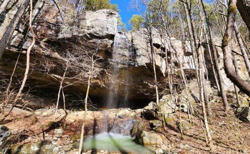 Hike to Grapevine Shelter and Blue Hole Cascades