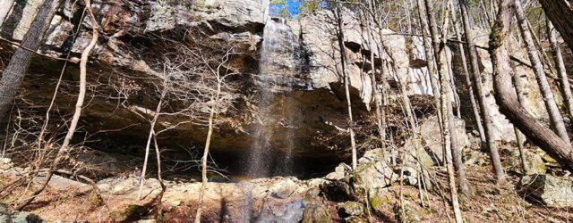 Hike to Grapevine Shelter and Blue Hole Cascades